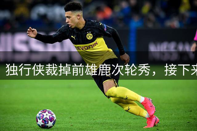 独行侠裁掉前雄鹿次轮秀，接下来他还有机会重返NBA赛场吗？